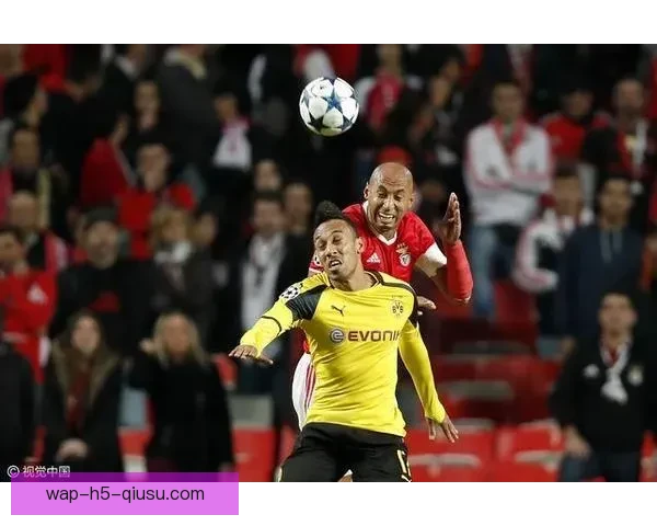 聚焦足球篮球直播赛事解析与实时精彩看点全覆盖深度评论前瞻数据